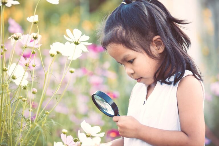 Lessons from the Flowers